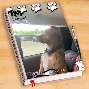 Meet your Posher, Robbie